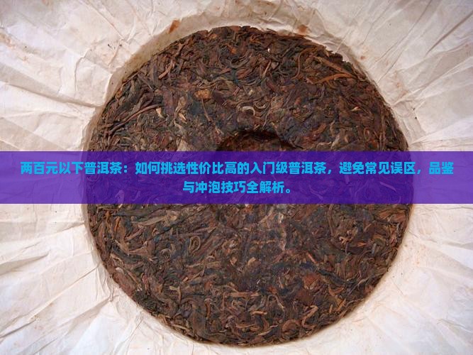 两百元以下普洱茶