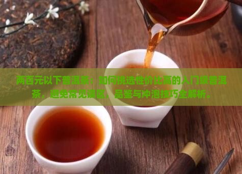 两百元以下普洱茶