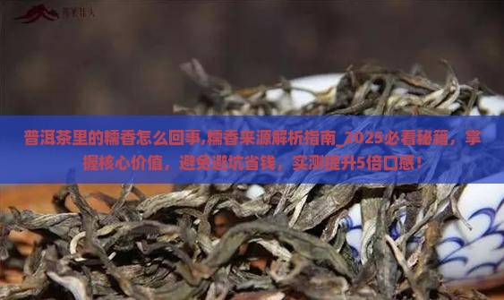 普洱茶里的糯香怎么回事