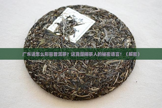广东话怎么形容普洱茶 广东话怎么形容普洱茶