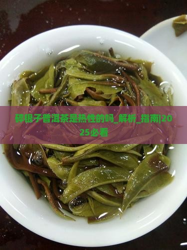 碎银子普洱茶是热性的吗