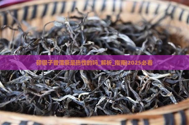 碎银子普洱茶是热性的吗