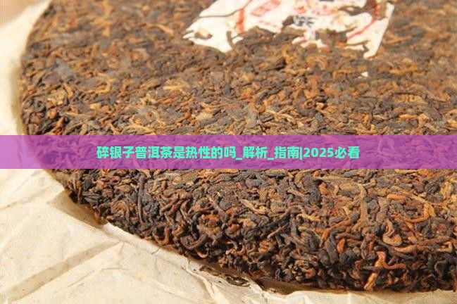 碎银子普洱茶是热性的吗