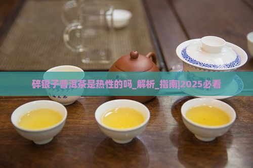 碎银子普洱茶是热性的吗