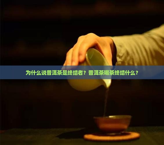 为什么说普洱茶是终结者