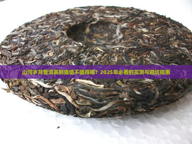 山河岁月普洱茶怎么样