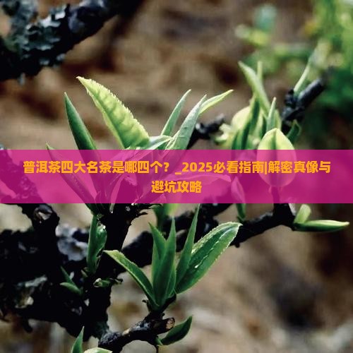 普洱茶四大名茶是哪四个