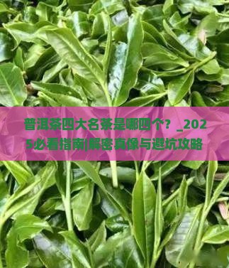 普洱茶四大名茶是哪四个