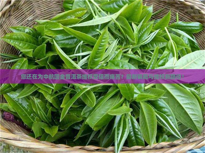 中航国金普洱茶受害维权群