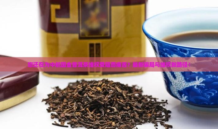 中航国金普洱茶受害维权群