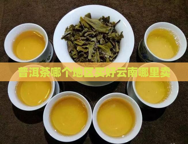 普洱茶哪个地区买好卖呢