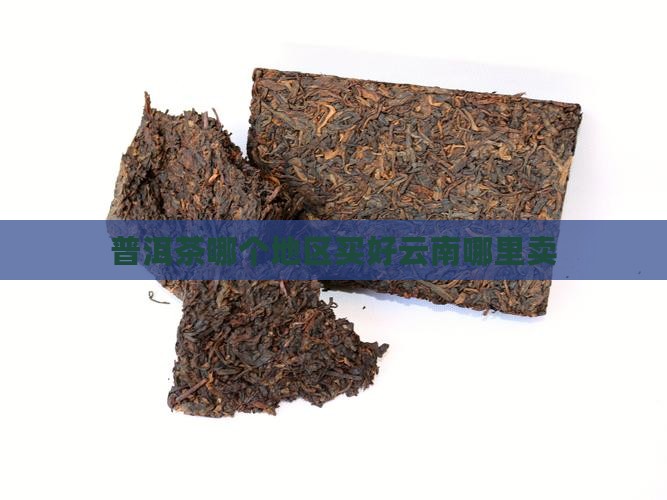 普洱茶哪个地区买好卖呢