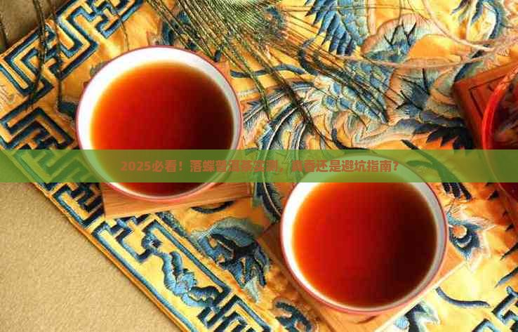 落蝶普洱茶怎么样