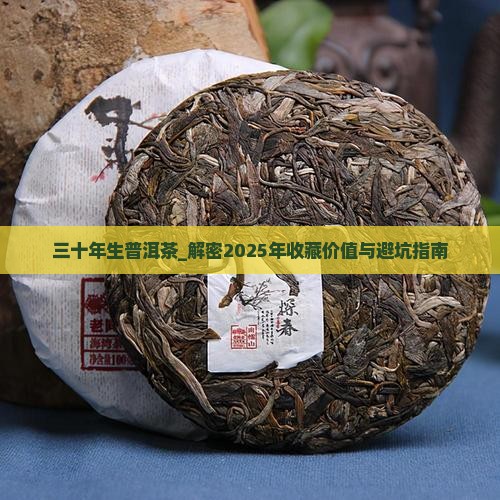 三十年生普洱茶