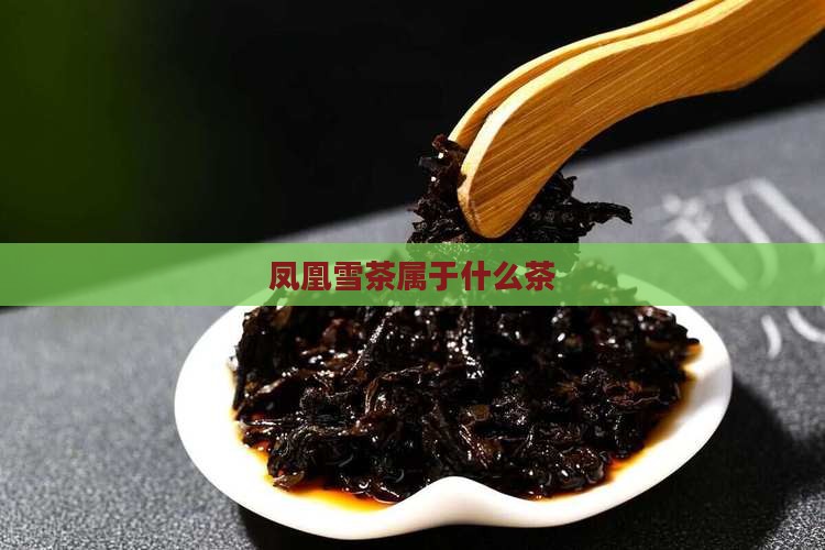 凤凰雪茶属于什么茶