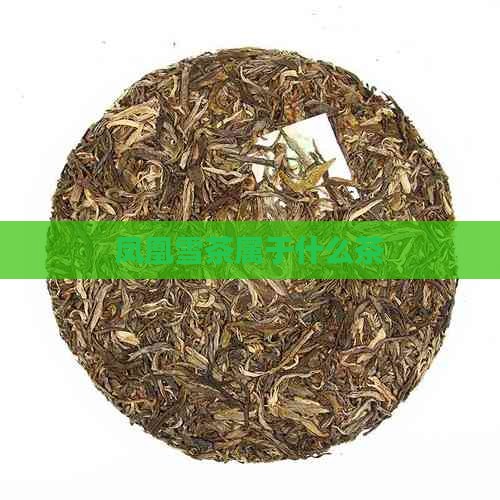 凤凰雪茶属于什么茶