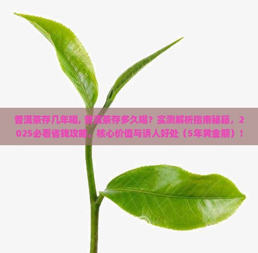 普洱茶存几年喝