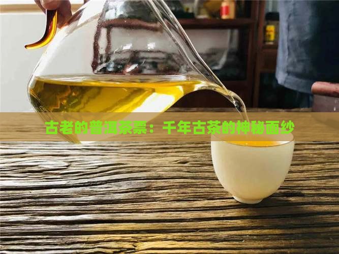 古老的普洱茶票