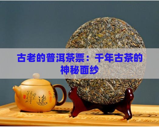 古老的普洱茶票