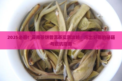 云南茶饼普洱茶怎么泡