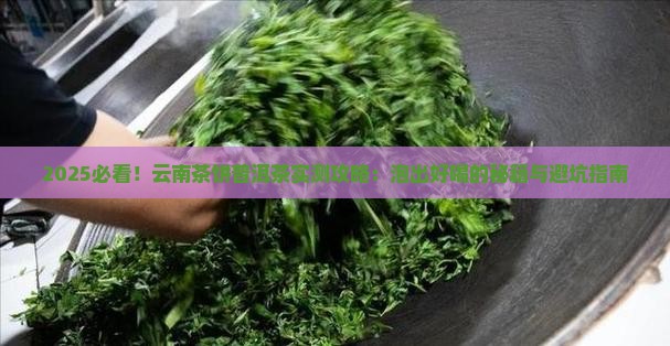 云南茶饼普洱茶怎么泡