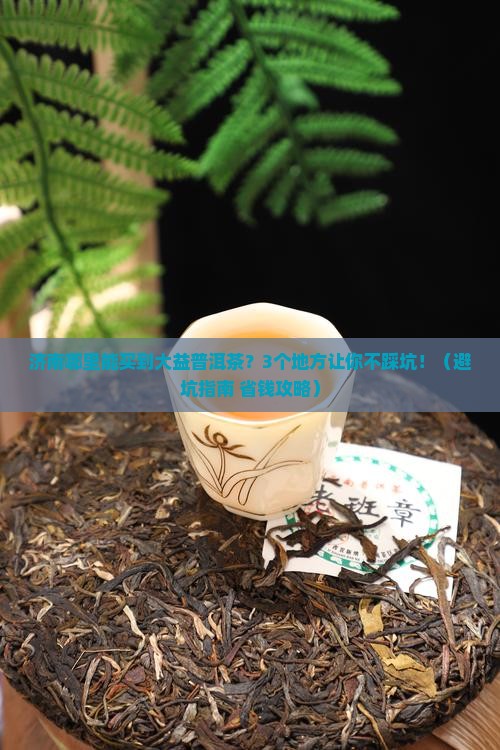 济南哪里能买到大益普洱茶