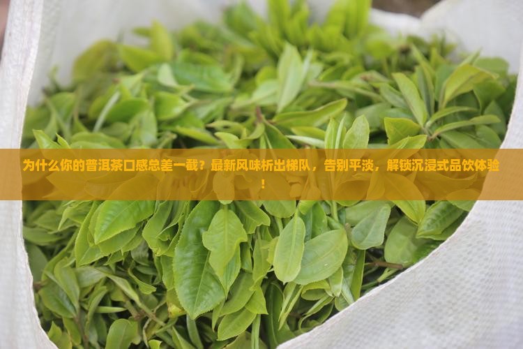 普洱茶口感析出梯队