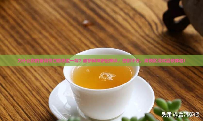 普洱茶口感析出梯队
