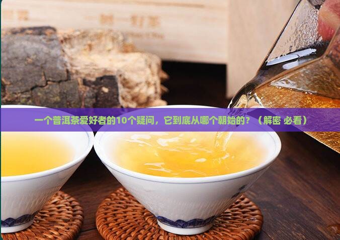 普洱茶从哪个朝代出现的