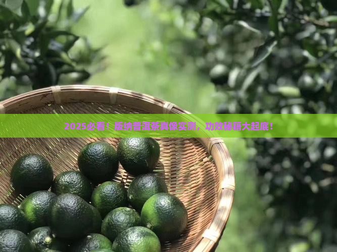 版纳普洱茶的功效