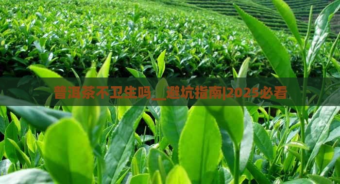 普洱茶不卫生吗