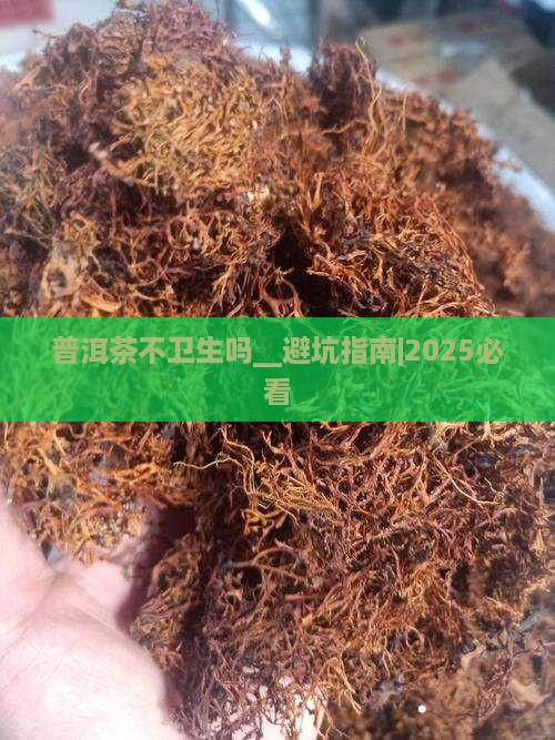 普洱茶不卫生吗