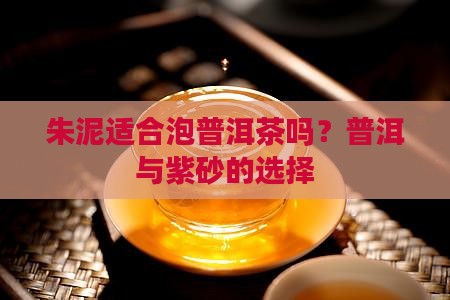 朱泥可以泡生普洱茶嘛有毒吗