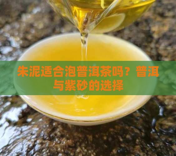 朱泥可以泡生普洱茶嘛有毒吗