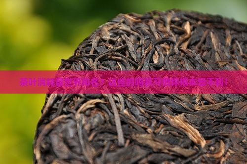 茶叶消耗量世界排名