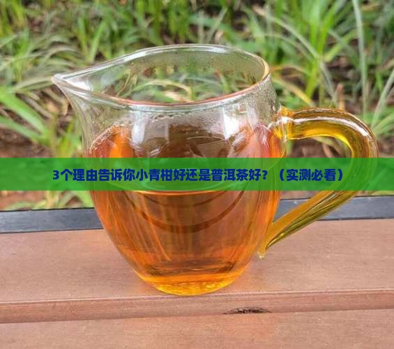 小青柑好还是普洱茶好