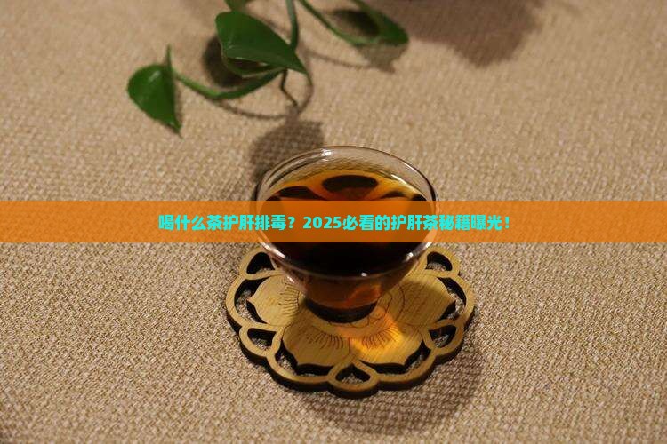 喝什么茶保护肝脏排毒