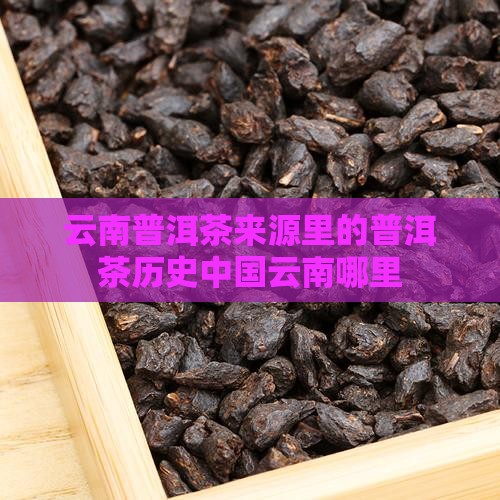 云南普洱茶来源哪里的茶
