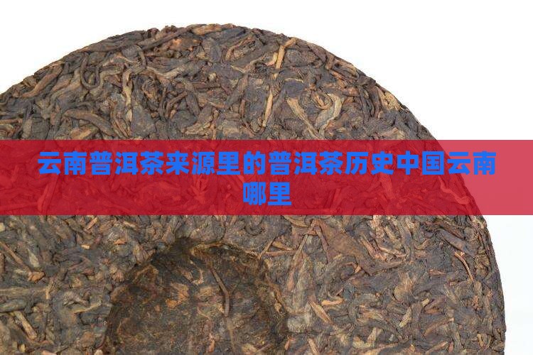 云南普洱茶来源哪里的茶