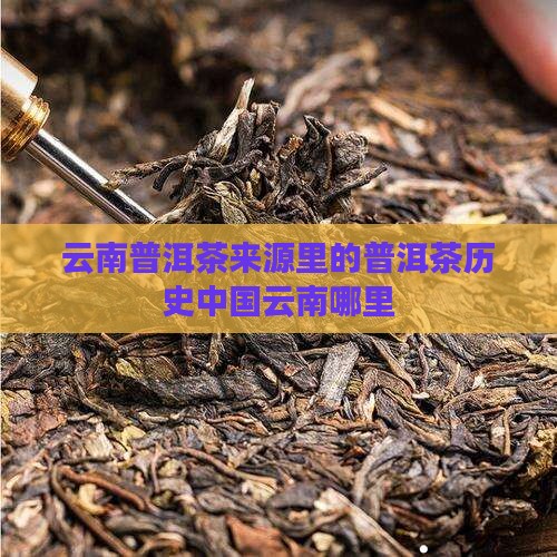 云南普洱茶来源哪里的茶