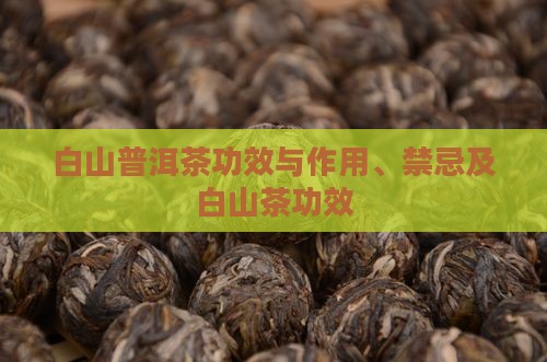 白山普洱茶功效