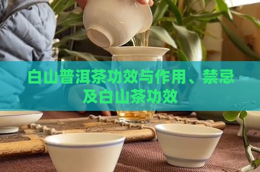 白山普洱茶功效