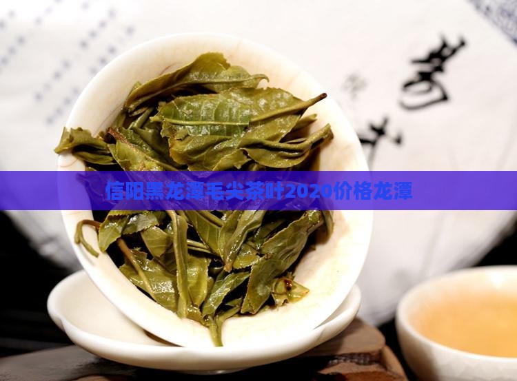 信阳黑龙潭茶叶2020价格