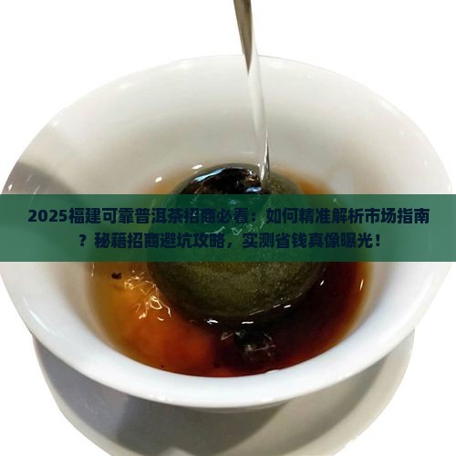福建可靠普洱茶招商
