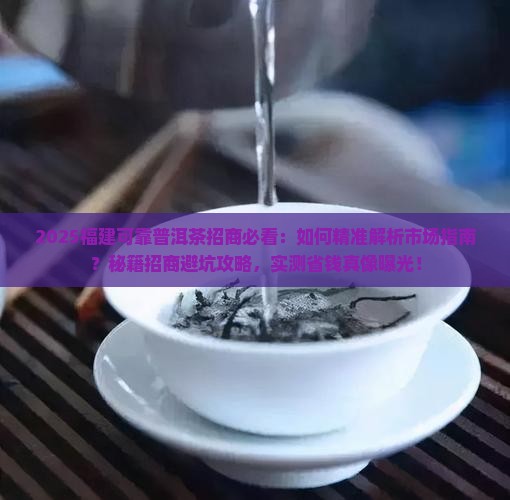 福建可靠普洱茶招商