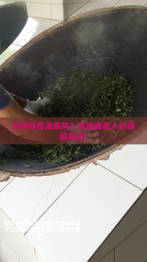 泉州有普洱茶吗