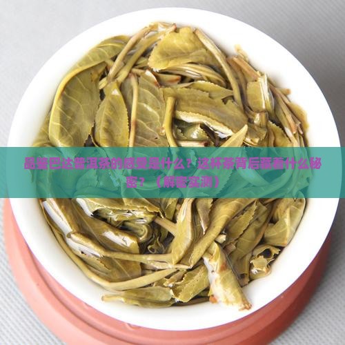 品鉴巴达普洱茶的感受是什么