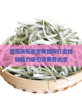 普洱茶形象宣传