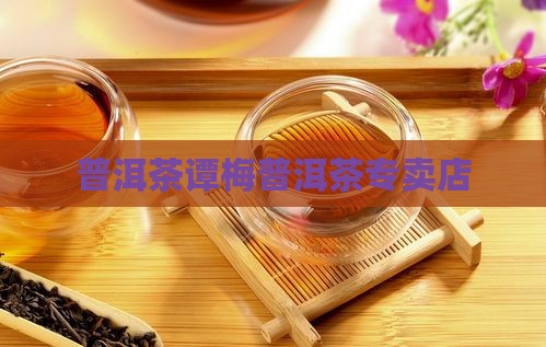 太原市谭梅普洱茶