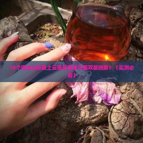 云南普洱茶与西双版纳茶